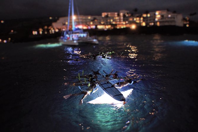 Sunset and Manta Ray Snorkel Adventure - Check-in at the Courtyard Marriott