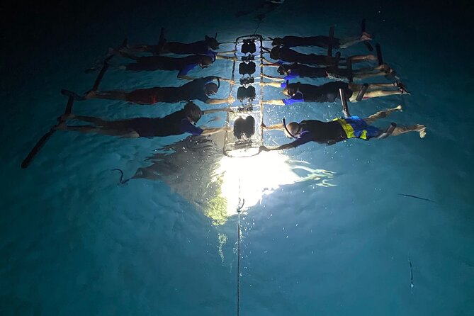 Sunset and Manta Ray Snorkel Adventure - Getting ready for the night snorkel