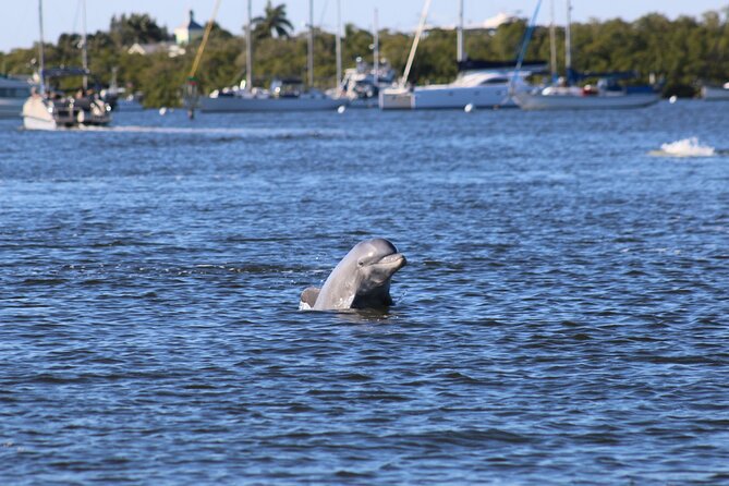 Sunset Dolphin Cruise with Sanibel Lighthouse Views - Key points to know before booking