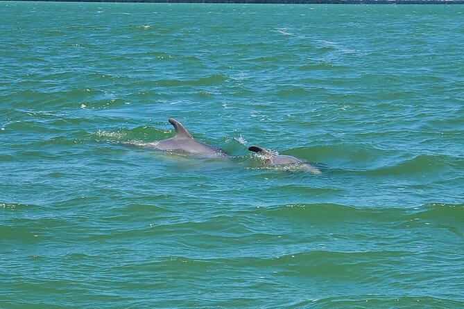 Sunset Dolphin Cruise with Sanibel Lighthouse Views - What the $69.99 price includes