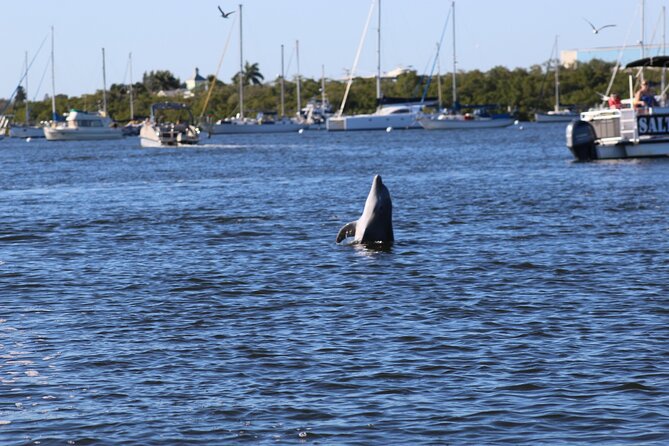 Sunset Dolphin Cruise with Sanibel Lighthouse Views - Around Bowditch Point for the main sunset view