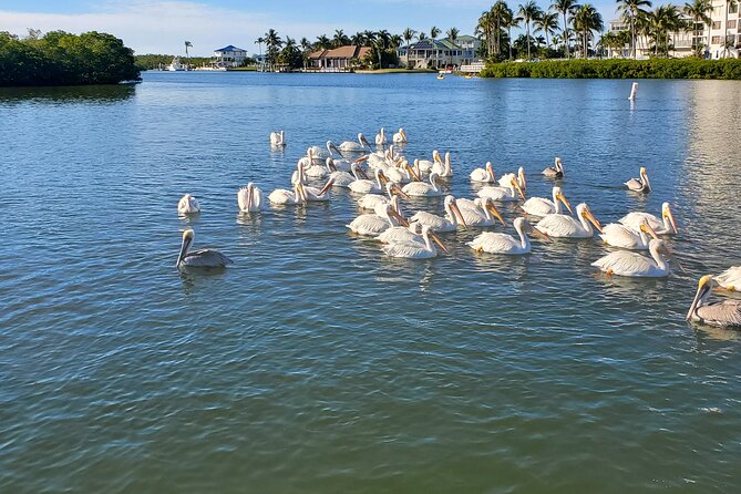 Sunset Dolphin Cruise with Sanibel Lighthouse Views - Drinks, music, and the feel onboard