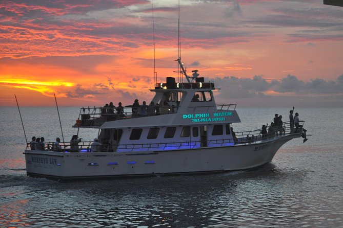 Sunset Dolphin Watch Tour - Dolphin Watching in the Gulf