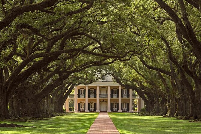 Swamp Boat Ride and Oak Alley Plantation Tour from New Orleans - Should you book the $131 tour?
