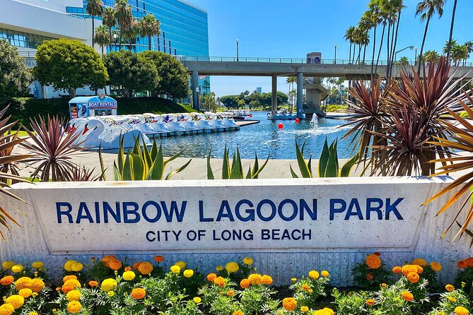 Swan Boat Rental at Rainbow Lagoon in Long Beach - Pedaling the Lagoon Past Shoreline Drive