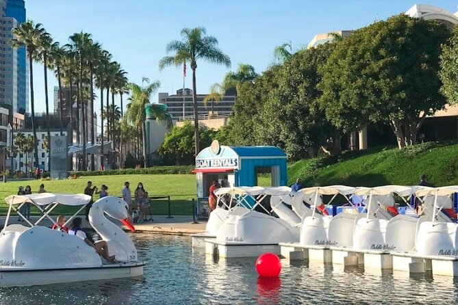 Swan Boat Rental at Rainbow Lagoon in Long Beach - Bringing a Picnic Without Overpacking