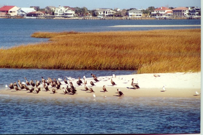 Take a Scenic Boat Ride in St. Augustine - Why This Cruise Works as a First Look at St. Augustine