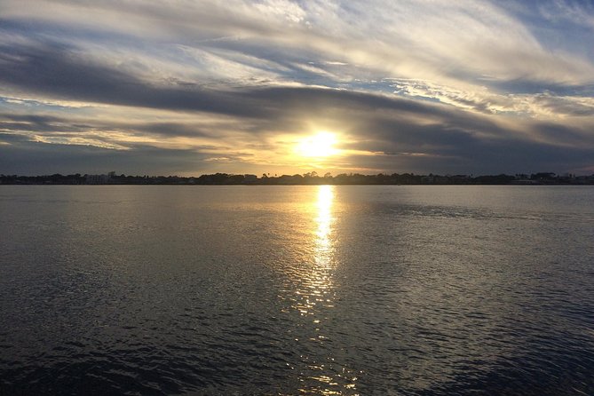Take a Scenic Boat Ride in St. Augustine - Wildlife Can Turn the Ride Into Something Special