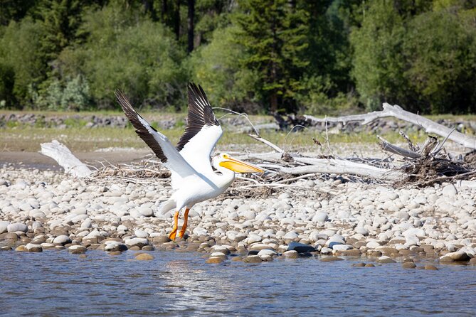 Tetons and Snake River Scenic Float Trip In Jackson Hole - Weather, Clothing, and Comfort