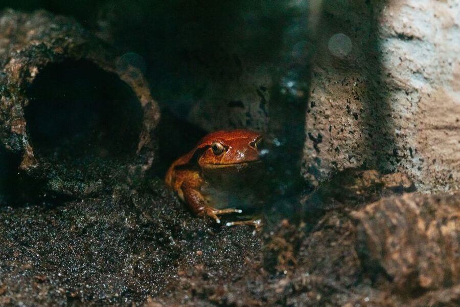 The Florida Aquarium Ticket - What $36 means for value
