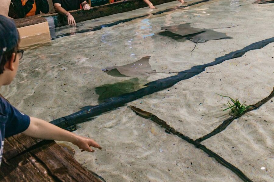 The Florida Aquarium Ticket - Planning lunch, water activities, and family downtime
