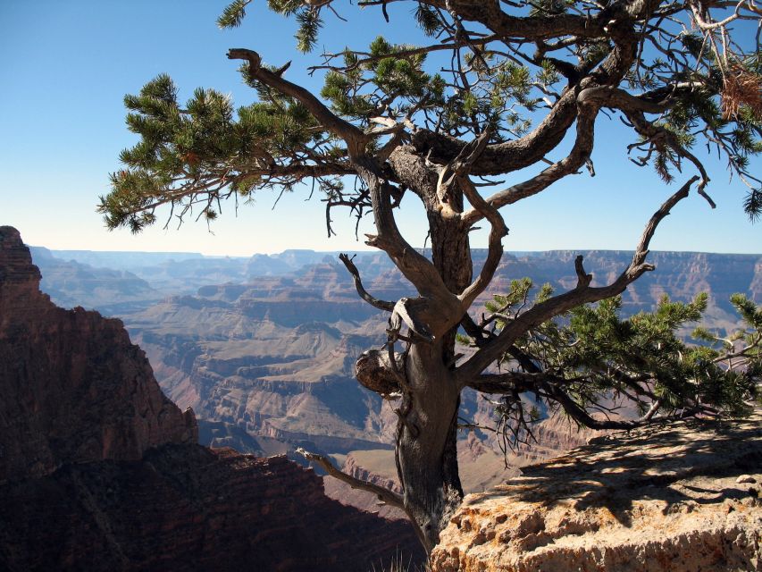 The Grand Canyon Classic Tour From Sedona, AZ - Key points to know before booking