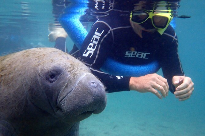 The 'OG' Manatee Snorkel Tour with In-Water Guide/Photographer - Learning the manatee rules before you enter the water