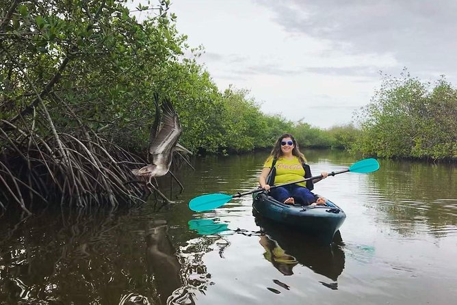 Thousand Island Mangrove Tunnel, Manatee & Dolphin Kayak Tour w/Cocoa Kayaking - Paddling into the mangrove tunnels