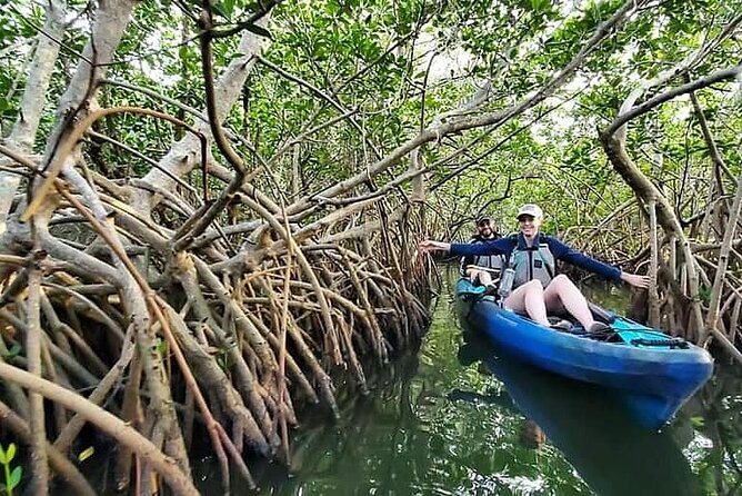 Thousand Island Mangrove Tunnel, Manatee & Dolphin Kayak Tour w/Cocoa Kayaking - Why the 9:00 am departure matters
