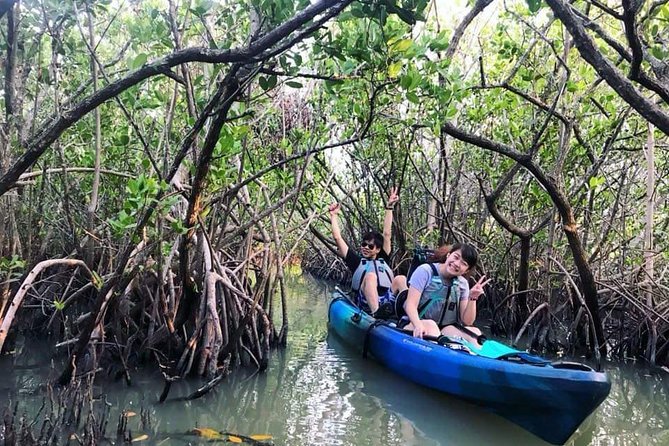 Thousand Island Mangrove Tunnel, Manatee & Dolphin Kayak Tour w/Cocoa Kayaking - Guides who shape the outing