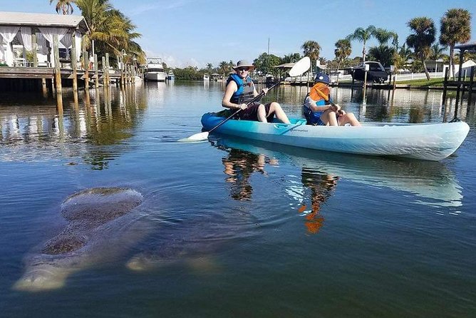 Thousand Island Mangrove Tunnel, Manatee & Dolphin Kayak Tour w/Cocoa Kayaking - What the $69.08 price gets you