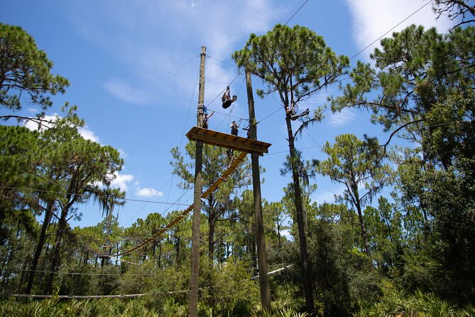 TreeUmph Adventure Course - Why the zip lines are only part of the fun