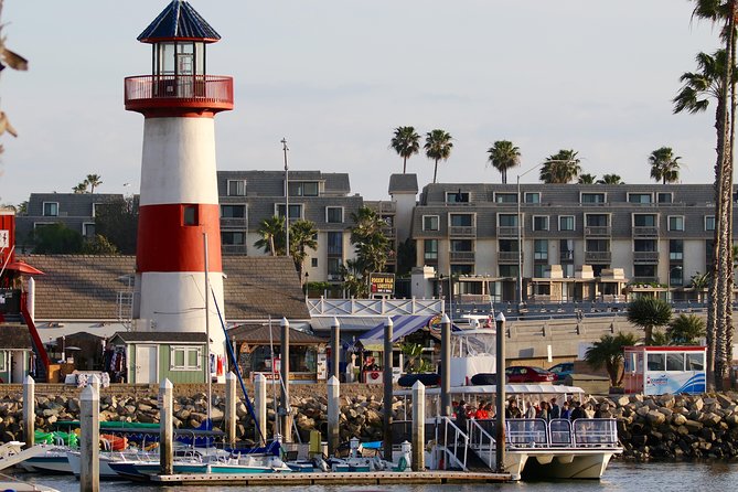 Two-Hour Luxury Whale Watching Tour from Oceanside - A comfortable catamaran for a two-hour ride