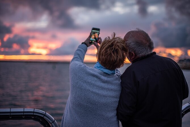 Two-Hour Luxury Whale Watching Tour from Oceanside - Whale seasons and realistic expectations