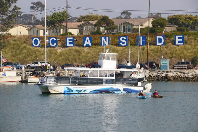 Two-Hour Luxury Whale Watching Tour from Oceanside - Is $64 a good value?