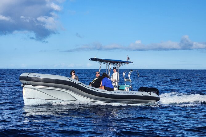 Two Reef Snorkel Trip-See Captain Cook Monument & Sea Caves - Honaunau Bay and the Place of Refuge