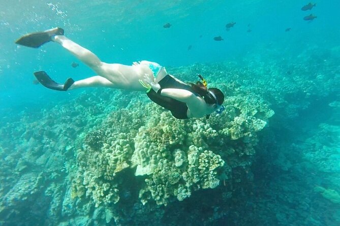 Two Reef Snorkel Trip-See Captain Cook Monument & Sea Caves - Sea caves, lava tubes, and the ride along the coast