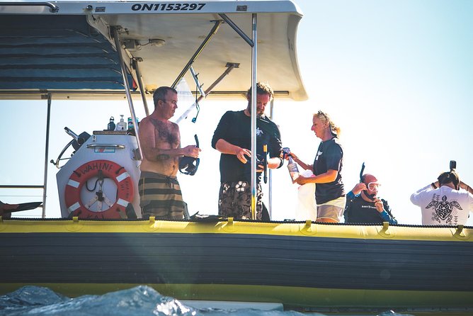 Ultimate 4 Hour Lanai Snorkel and Dolphin Encounter - A crew that keeps the trip calm and organized