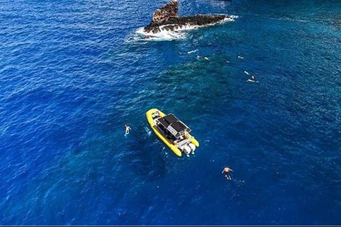 Ultimate 4 Hour Lanai Snorkel and Dolphin Encounter - Who will enjoy this ocean outing most