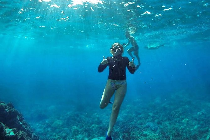 Ultimate 4 Hour Lanai Snorkel and Dolphin Encounter - Booking timing and cancellation details