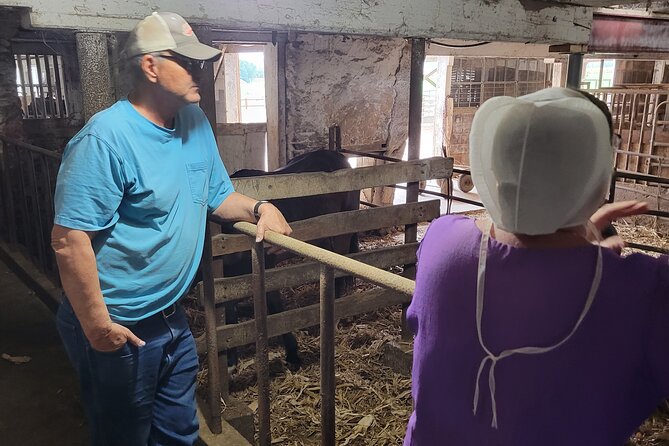 Unique Amish Immersion in Lancaster - Start at Strasburg with the Witness farm
