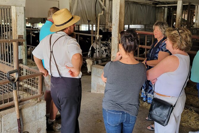 Unique Amish Immersion in Lancaster - Finish with ice cream at an Amish creamery