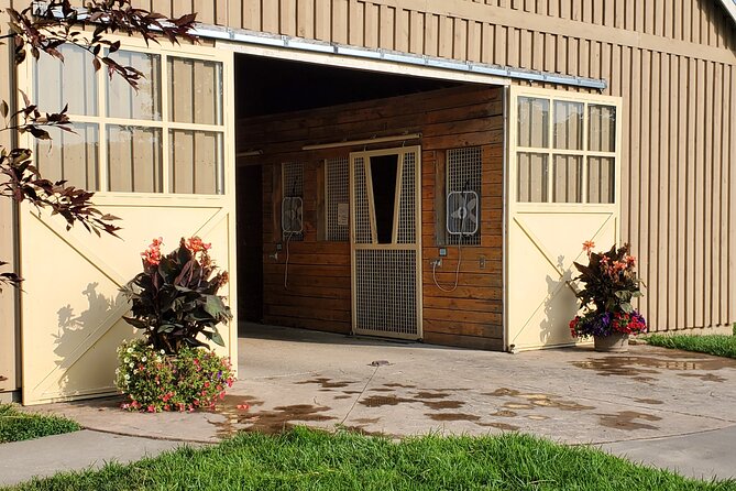 Unique Horse Farm Tours with Insider Access to Private Farms - Comfort, walking, and weather notes