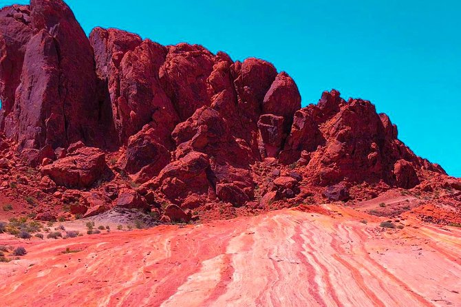 Valley of Fire State Park Day Tour from Las Vegas - The visitor center and desert details