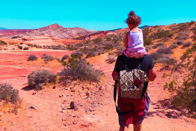 Valley of Fire State Park Day Tour from Las Vegas - Photo stops and help from the guide