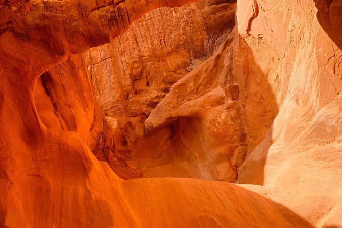 Valley of Fire Tour - Is the $119 price fair?