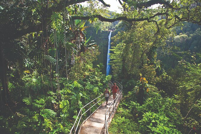 Volcano Adventure: Hilo Sightseeing w/ Optional Helicopter Tour - What the $202.76 price really buys you