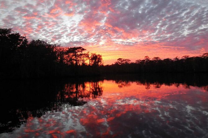 Waccamaw River Nature and Wildlife Tour - Who will enjoy this river trip most?