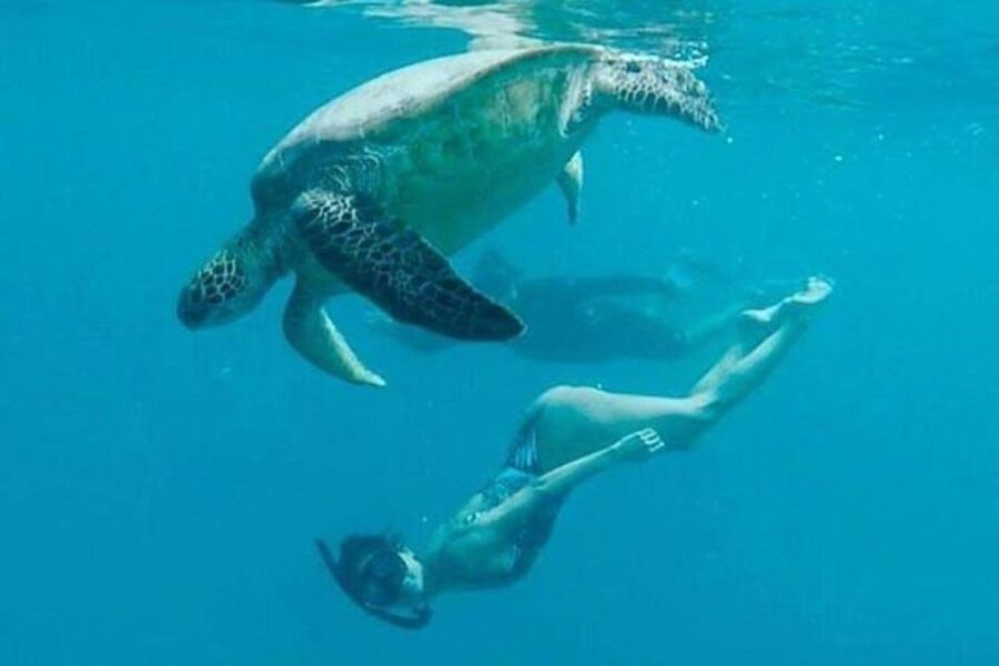 Waikiki Beach: Turtle Snorkeling and Sailing on Hāwea - Should you book Hāwea?