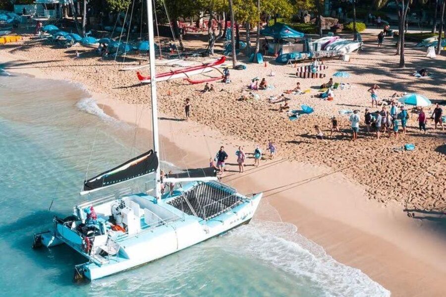 Waikiki Beach: Turtle Snorkeling and Sailing on Hāwea - The Turtle Canyon snorkeling stop
