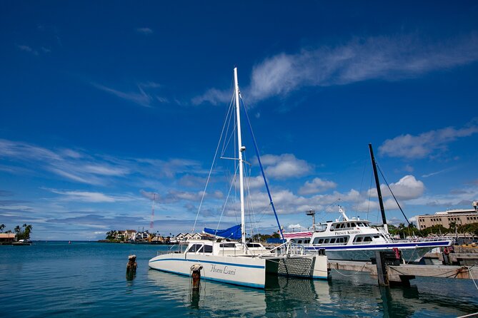 Waikiki Catamaran Snorkel Sail with Lunch: Turtles Guaranteed - Snorkeling Conditions and Crowding
