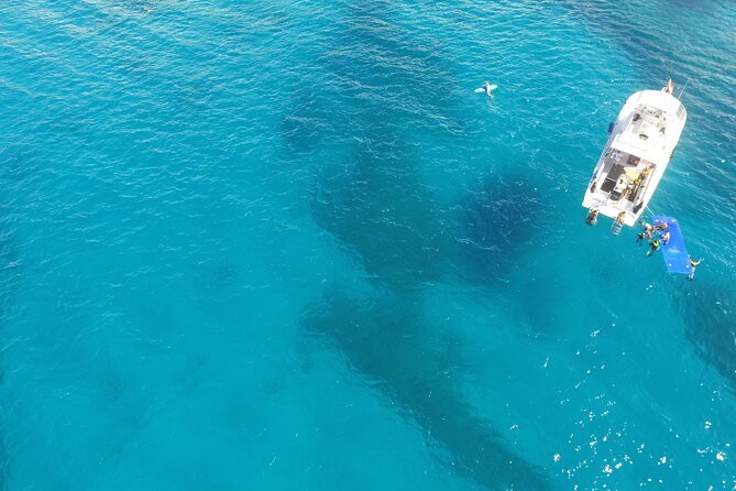 Waikiki, Hawaii: Turtle Canyon Snorkel Excursion - Turtles, fish, and the limits of nature