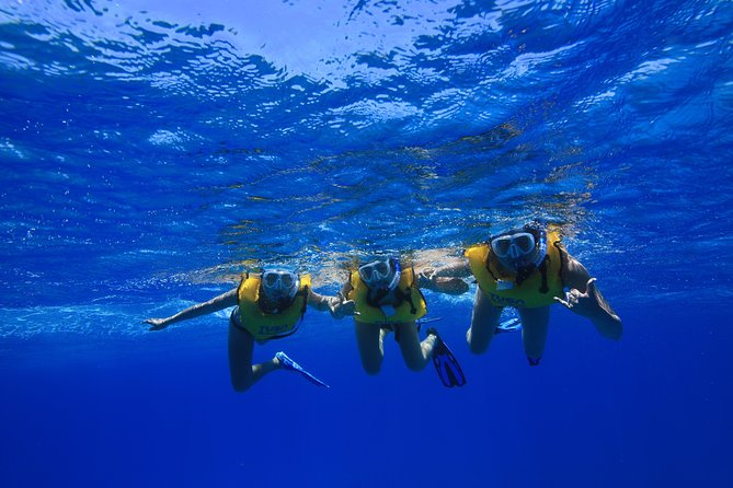 Waikiki, Hawaii: Turtle Canyon Snorkel Excursion - What the crew does well