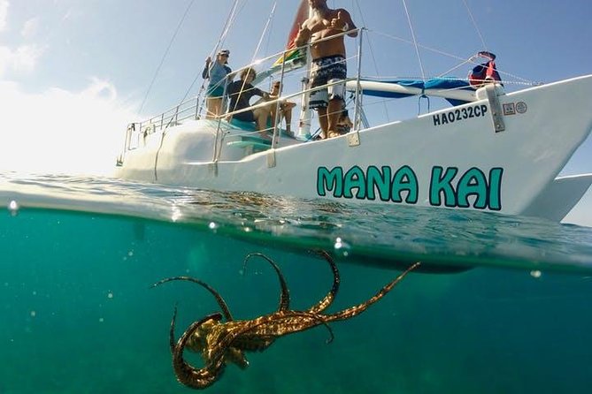 Waikiki Turtle Snorkel and Sail on Hawea Catamaran - What the Crew Does Well in the Water