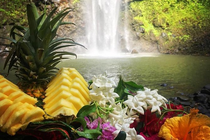 Wailua River & Waterfalls Kayak Tour: Expert-Guided Adventure - Why the Wailua River makes a fine starting point