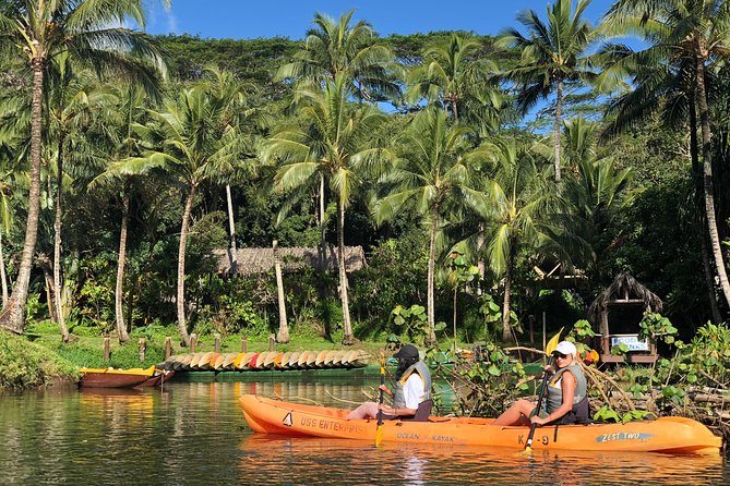 Wailua River & Waterfalls Kayak Tour: Expert-Guided Adventure - How early timing changes the experience