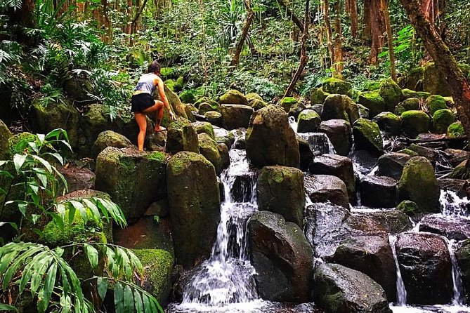 Wailua River & Waterfalls Kayak Tour: Expert-Guided Adventure - Is the $145.86 price fair?