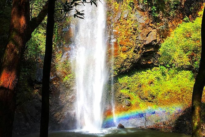Wailua River & Waterfalls Kayak Tour: Expert-Guided Adventure - The guides are part of the experience