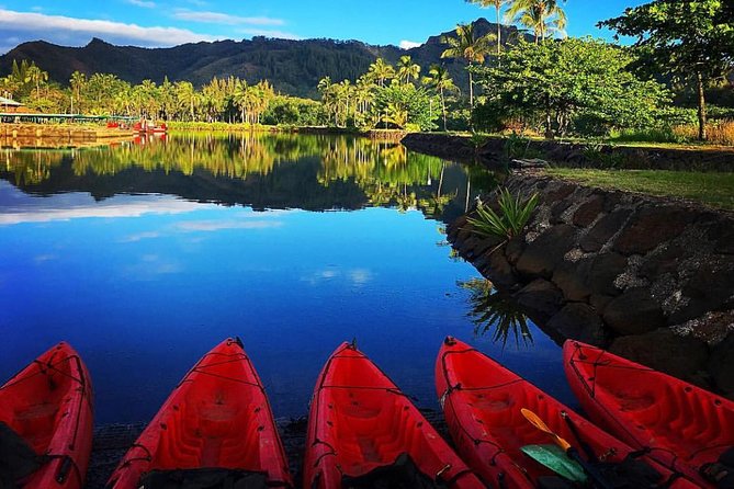 Wailua River & Waterfalls Kayak Tour: Expert-Guided Adventure - The rainforest trail to Uluwehi Falls