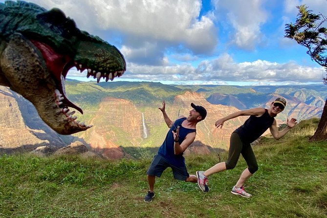 Waimea Canyon Downhill Bike Ride - Na Pali Coast State Wilderness Park and Niʻihau views